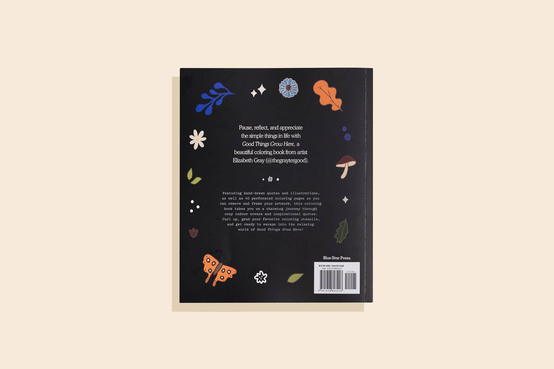 Paige Tate & Co. – Großhandel Mal- & Aktivitätsbuch – Erwachsene – Good Things Grow Here – Malbuch mit floralen Motiven4