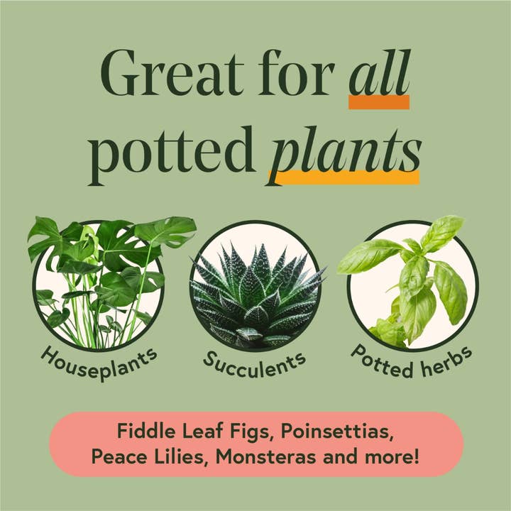 We The Wild Plant Care USA - Wholesale Planting/Potting Soil - Proud Plant Parent Kit - Case of 6