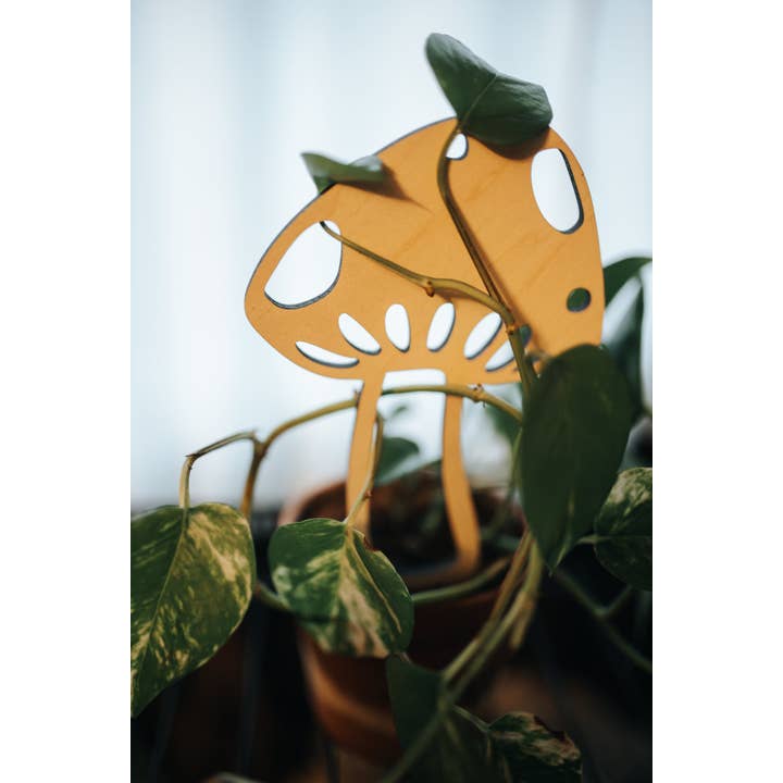 PlantsNsht - Wholesale Trellis - Mushroom Plant Trellis4