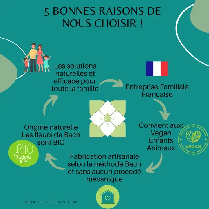 Conseil fleur de Bach - Wholesale Oral Supplement/Vitamin - Bach Flowers Weight Loss4