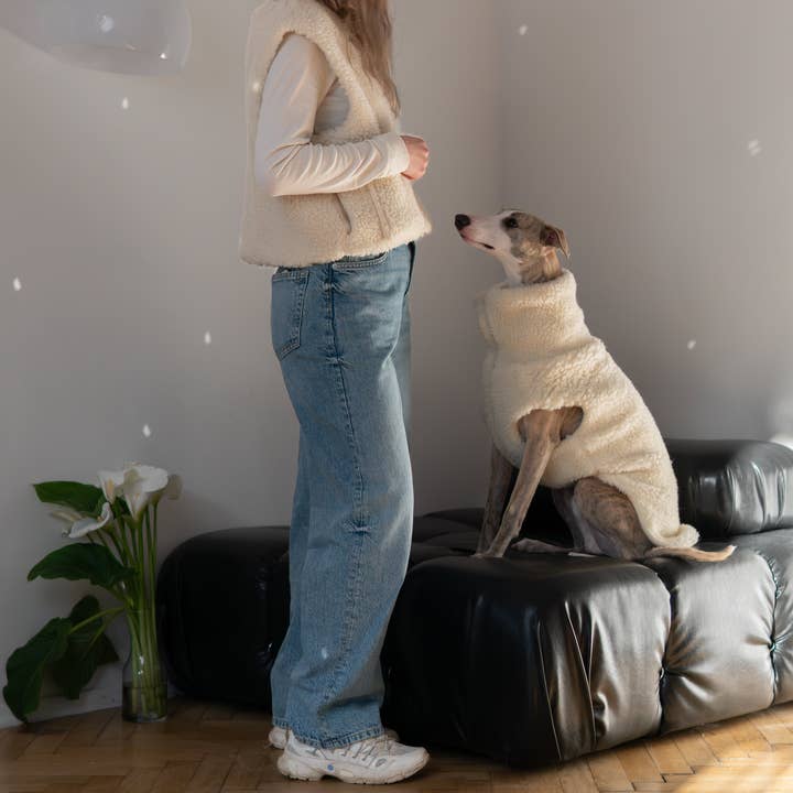 Mellow - Vente Gilet – chien - Gilet en laine pour chien - Beige