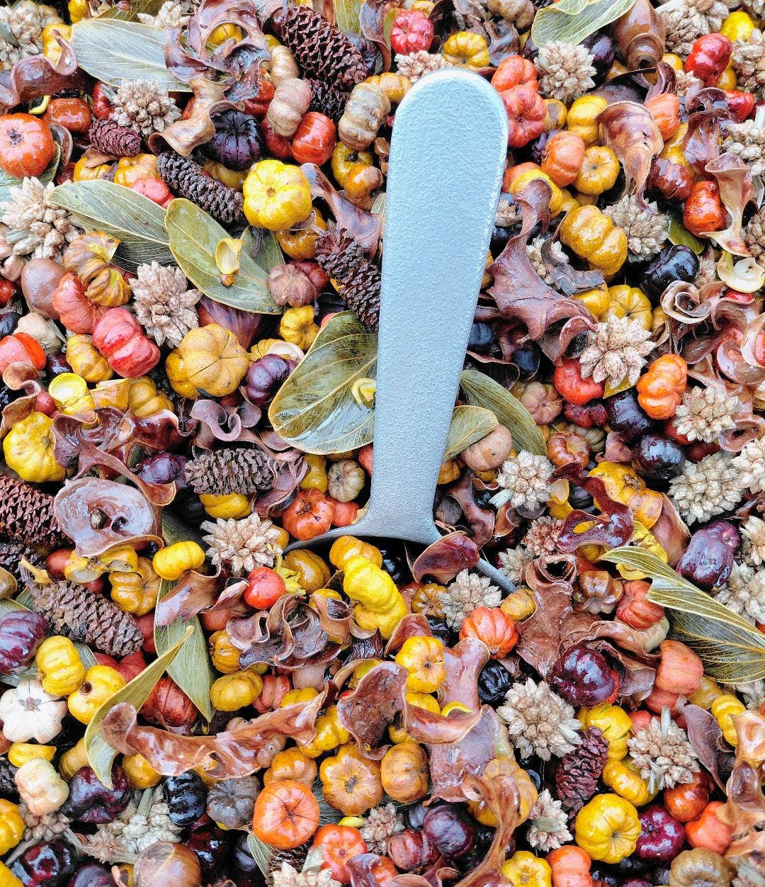 Shoots, Roots & Leather Boots - Wholesale Potpourri - Hot Buttery Maple Syrup Handcrafted Country Potpourri. 2