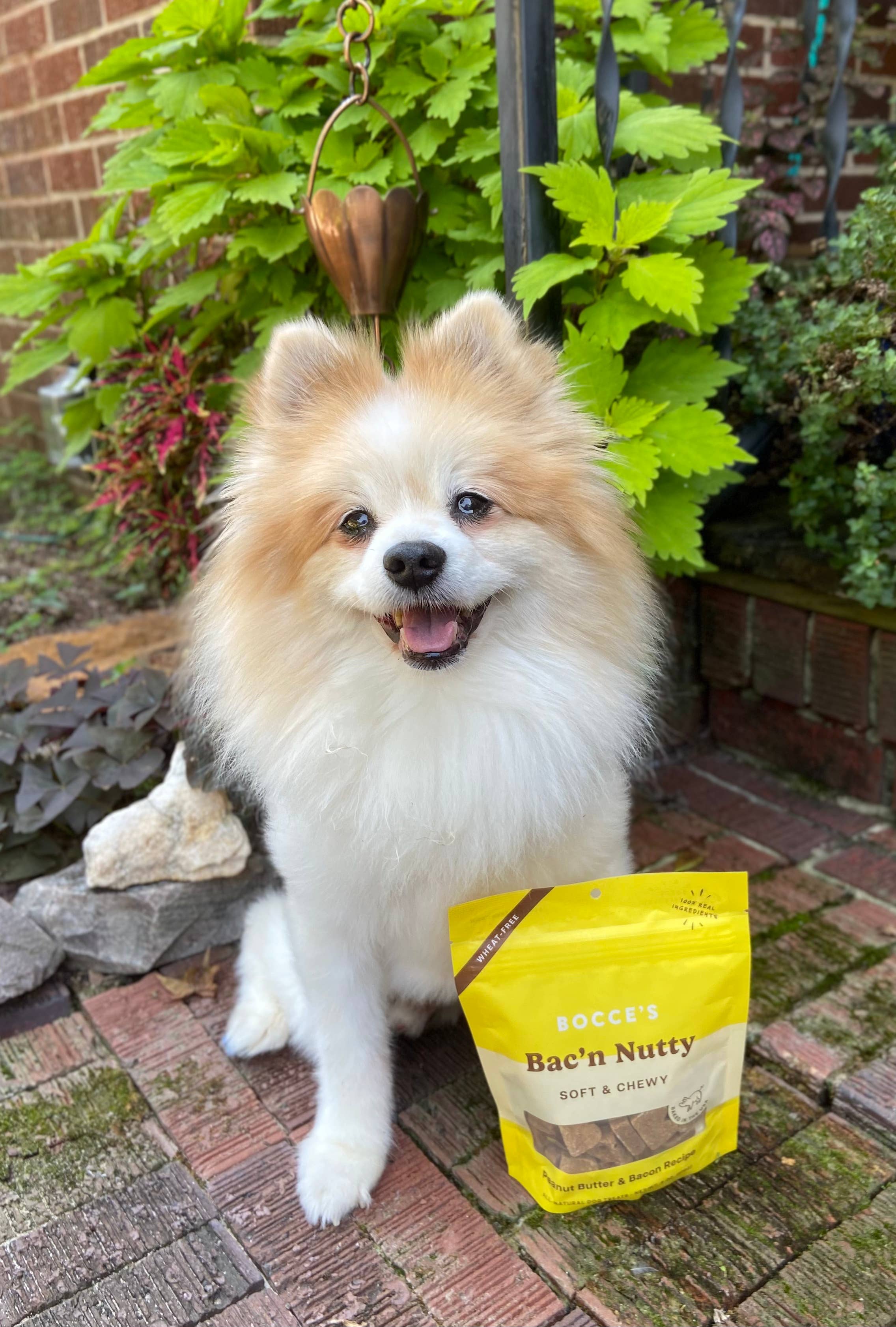 Pet Palette Distribution - Wholesale Pet Treats - Dog - Bocce's Bakery Bac'N Nutty Soft & Chewy Dog Treats 6oz2