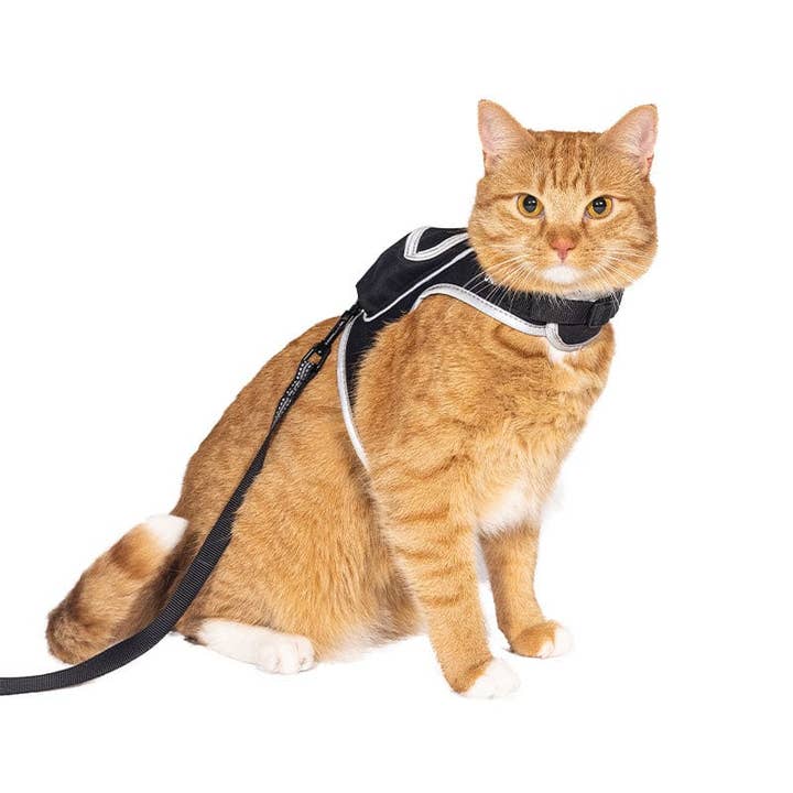 Ensemble Harnais et Laisse pour Chat Stray x Travel Cat - Édition Limitée pour la vente par Travel Cat Wholesale