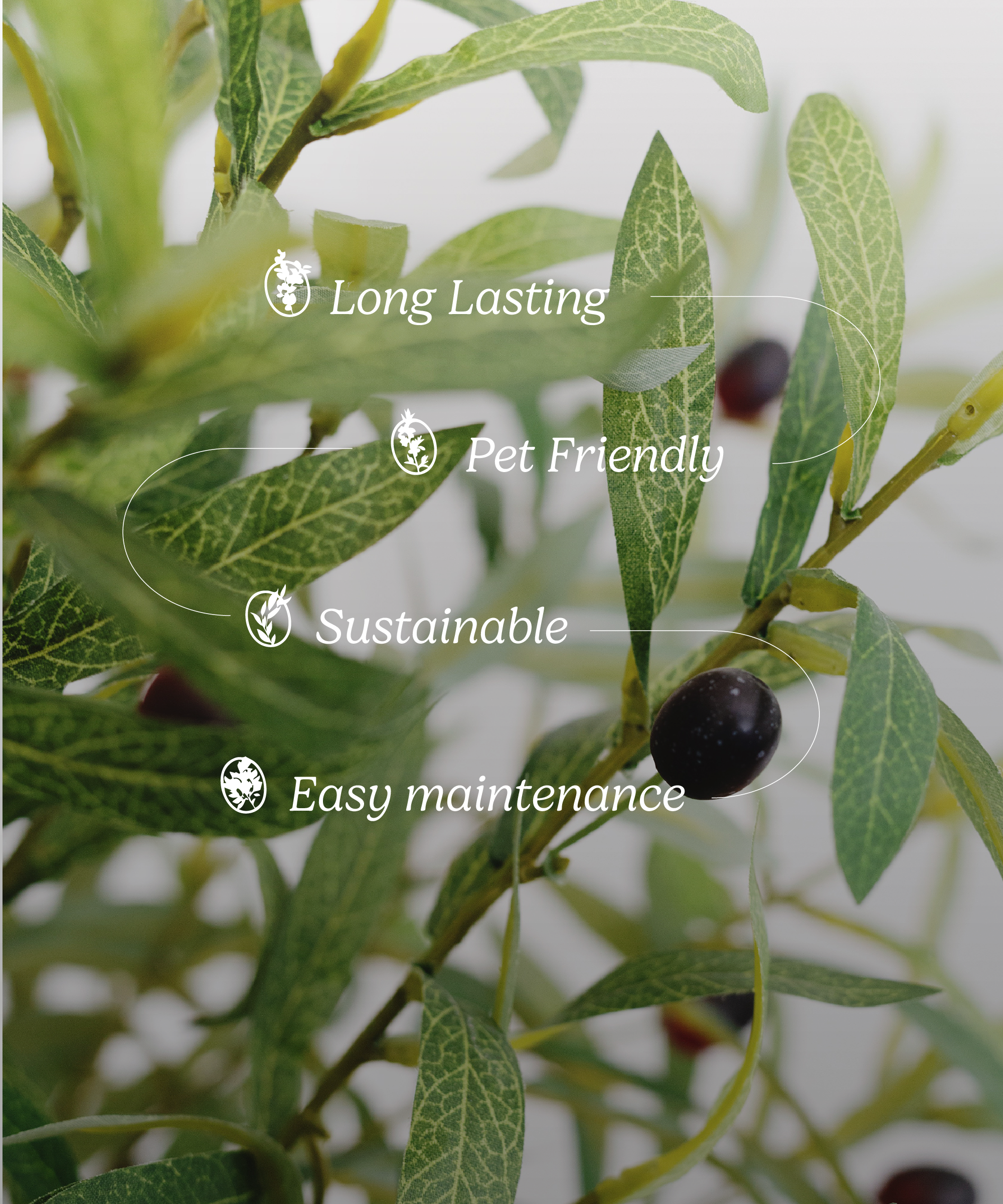 Maia Shop - Vente Plantes artificielles - Olivier Artificiel 180 cm7