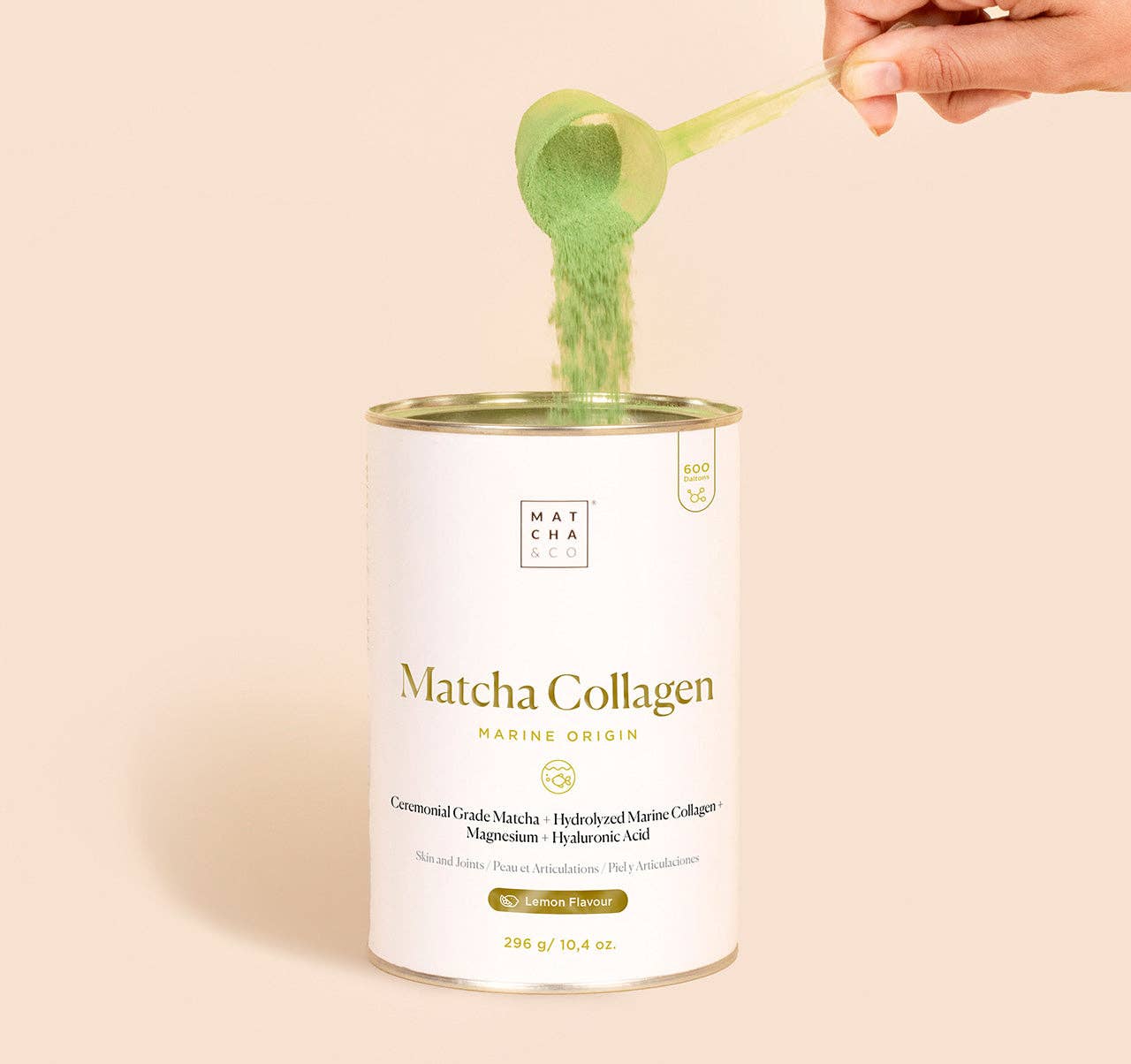 Matcha & CO - Vendita all'ingrosso Proteine/superfood in polvere - Matcha Marine Collagen4