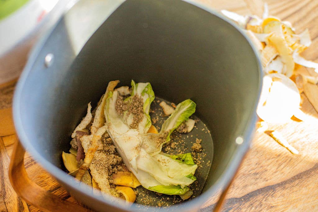 Kenkashi - Vente Graines de plantes - Microbes pour compost3