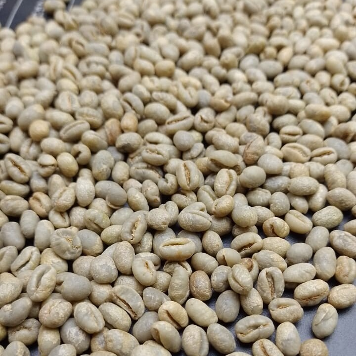 CAFÉ PAU BRASIL - Wholesale Coffee Beans - ARABICA GREEN COFFEE BEANS - 60kg bag0