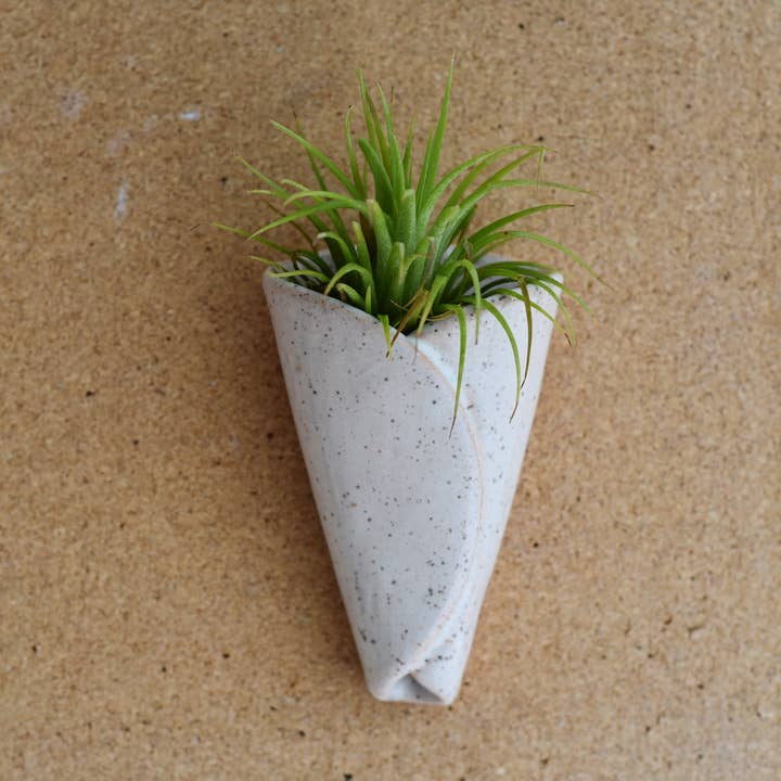 Mud & Maker - Wholesale Plant Pot - Air Plant Pottery - CONE
