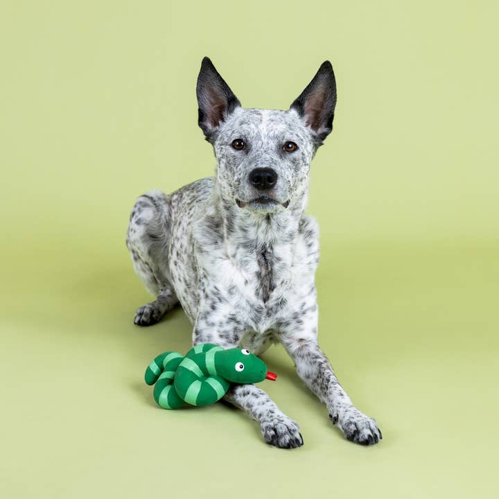 Petshop by Fringe Studio - Wholesale Pet Squeaky Toy - Dog - KNOTTY BY NATURE LATEX DOG TOY