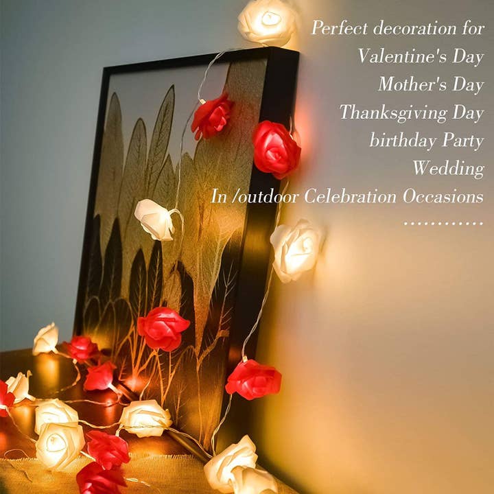 SELLVAY Fairy String Lights - Wholesale String Lights - 20 LED Red+White Rose Flower String Lights