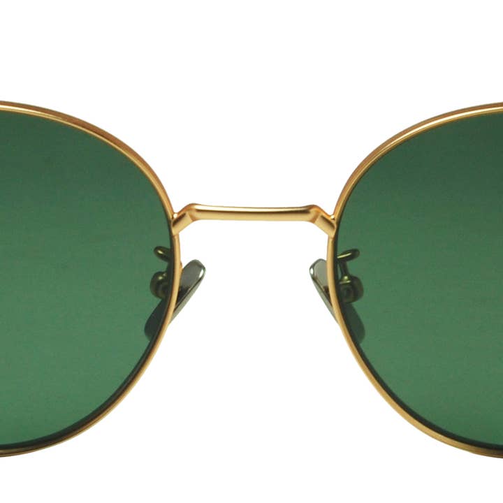 COZUMEL DOS - Iguana for wholesale by BluViz Eyewear