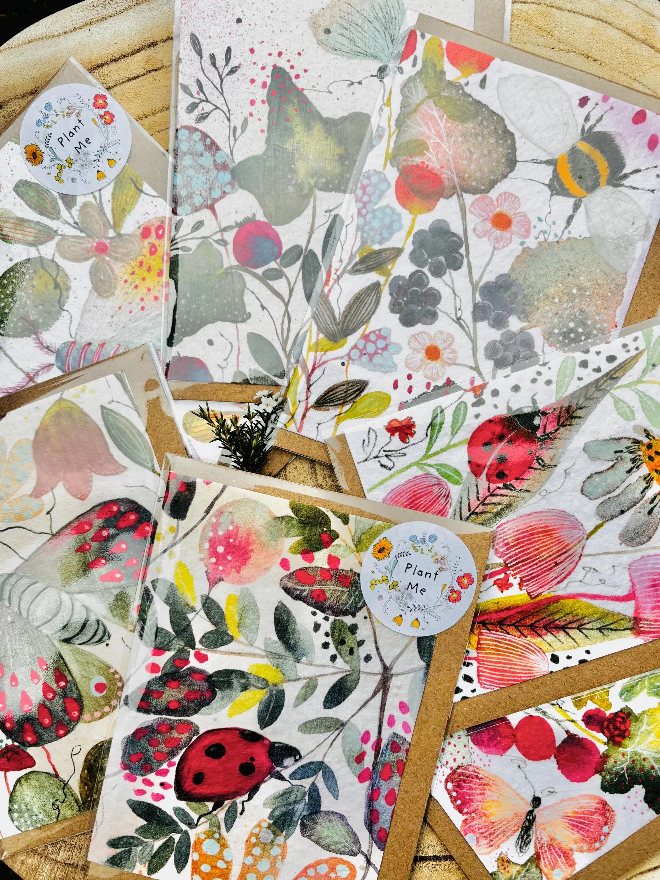 Erika's Whimsical Art – wholesale Birthday card – Plantable  Seed Paper Birthday Moth Card, Blank Inside 10