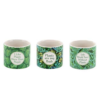Napco - Wholesale Plant Pot - Green Planter Witty Collection, 3 Assorted # 13668