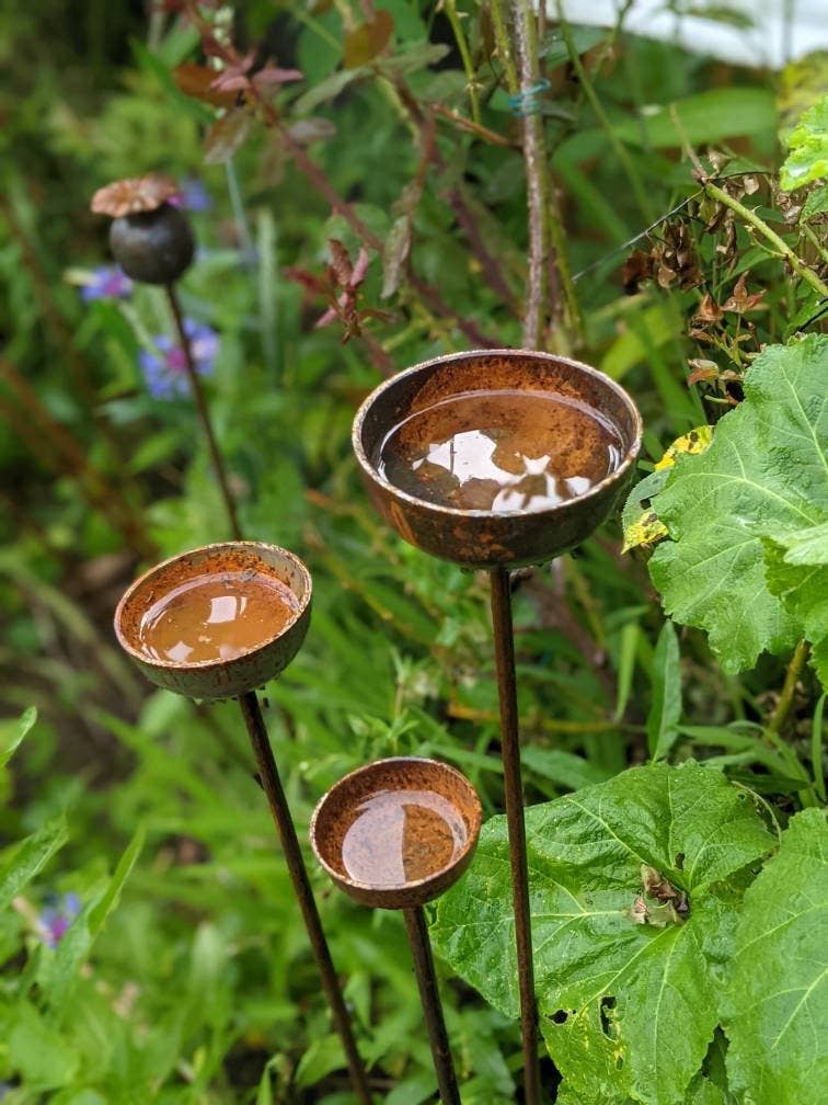 Savage Works – wholesale Outdoor ornament/decor – Rain Catcher  | Plant Support 7