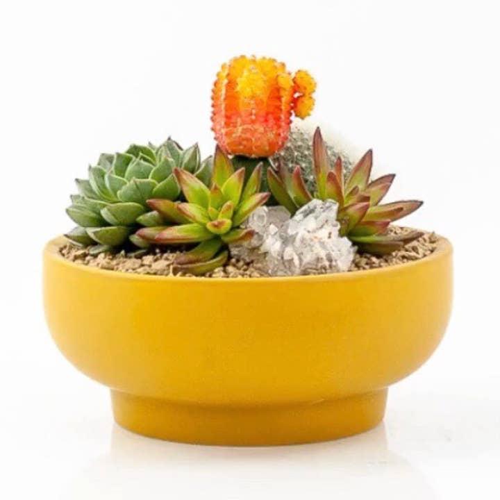 Momma Pots – wholesale Plant pot – 7" Pedestal Home and Garden Bowls1