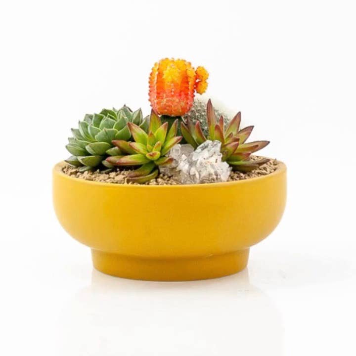 Momma Pots - Wholesale Plant Pot - 9" Pedestal Home and Garden Bowls19