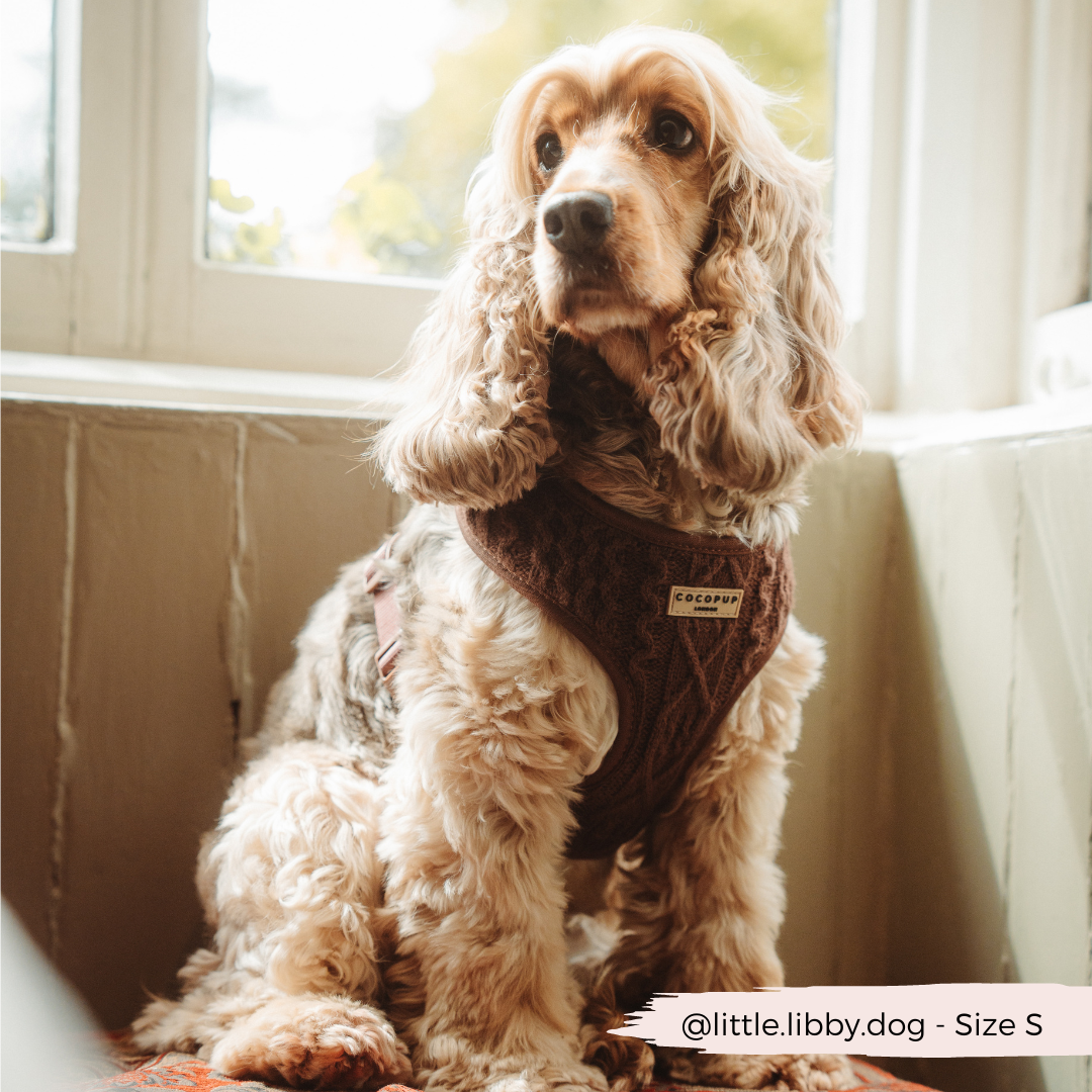 Cocopup London - Vente Harnais – chien - Harnais à col réglable en tricot torsadé couleur chocolat - Hot Coco17