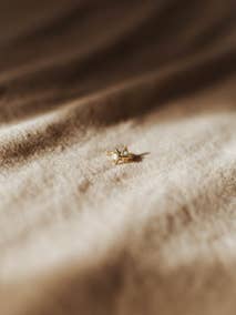 Saga for wholesale by Three2Seven