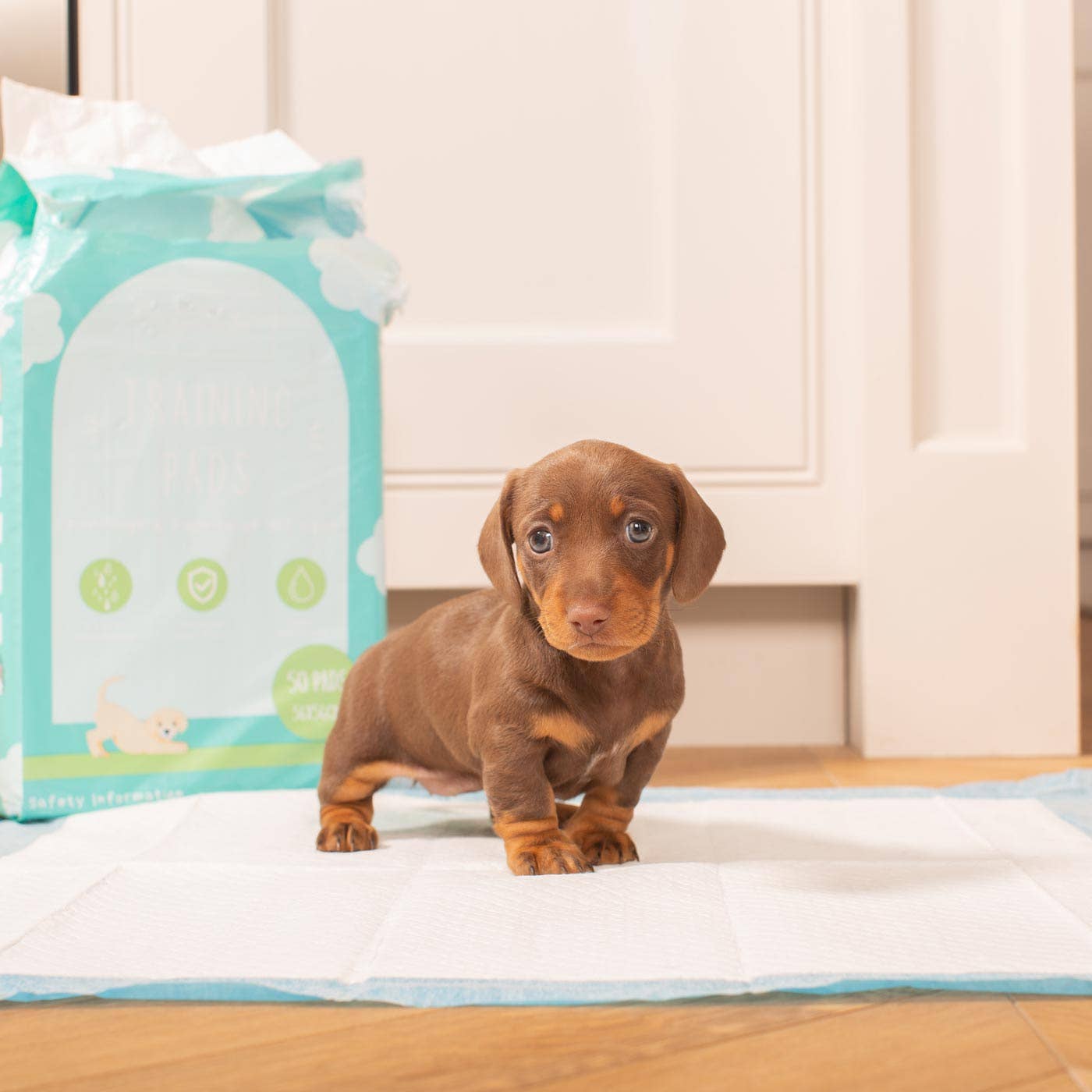 Lords and Labradors - Wholesale Pet Training Whistle - Dog - Puppy Training Pads Triple Pack by Lords & Labradors1