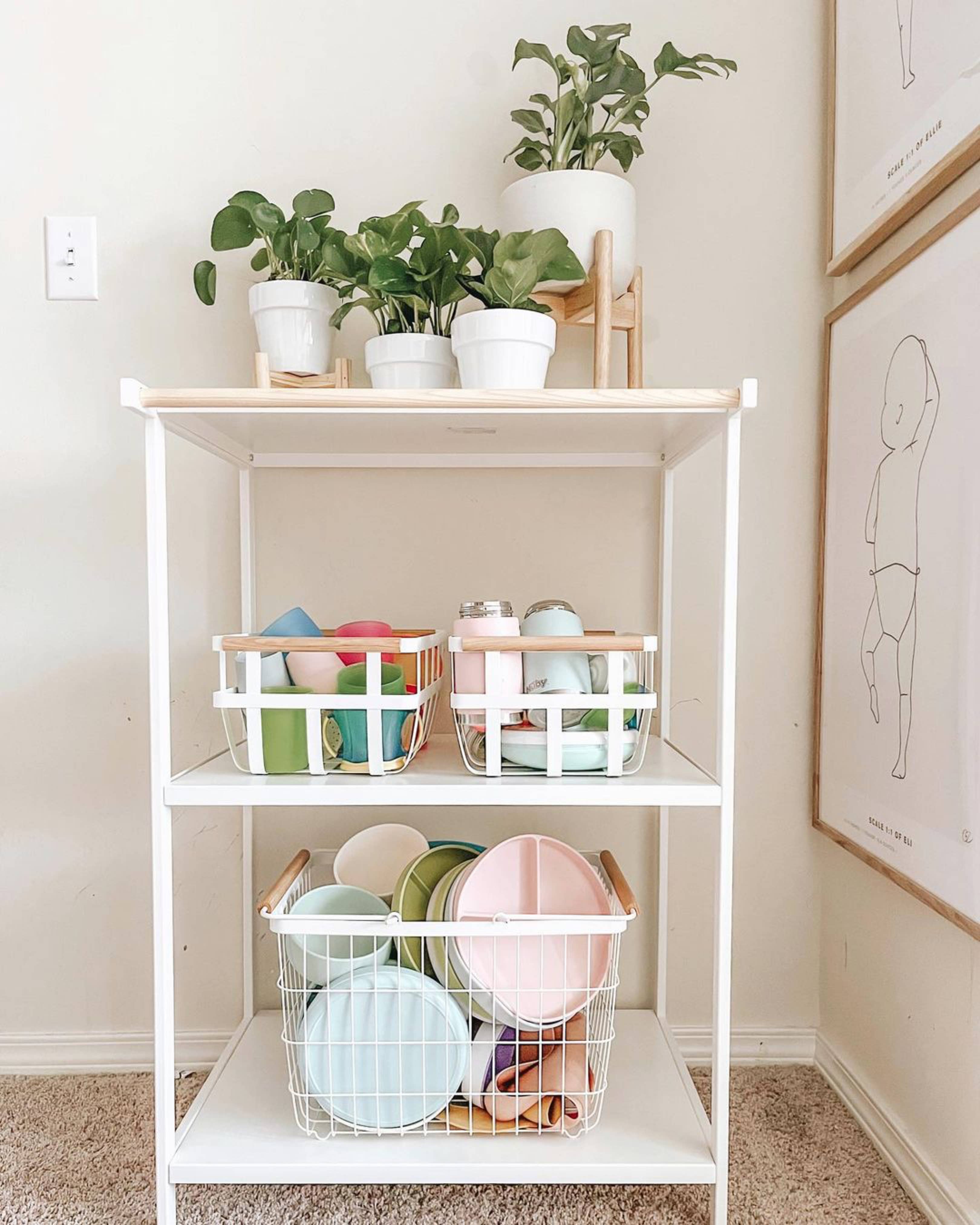 Ali+Oli - Wholesale Dinner Plate - Kids & Baby - Baby Plate with Suction and  Divided Portions (Sky)4