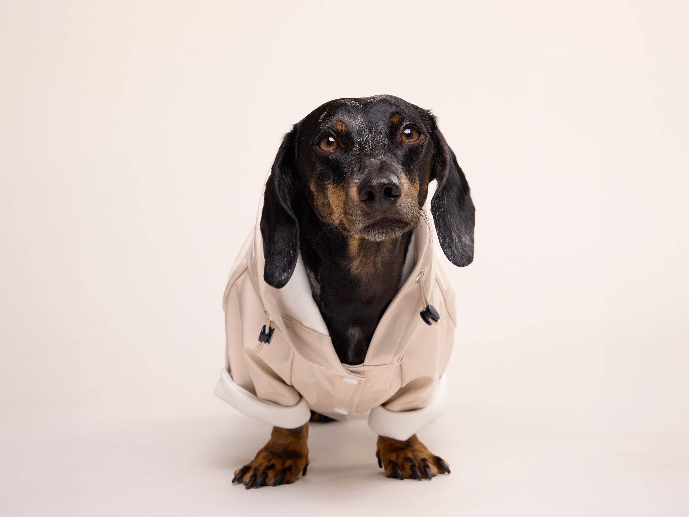 French Bandit - Wholesale Hondenregenjas - Hond - Crèmekleurige regenjas voor honden0