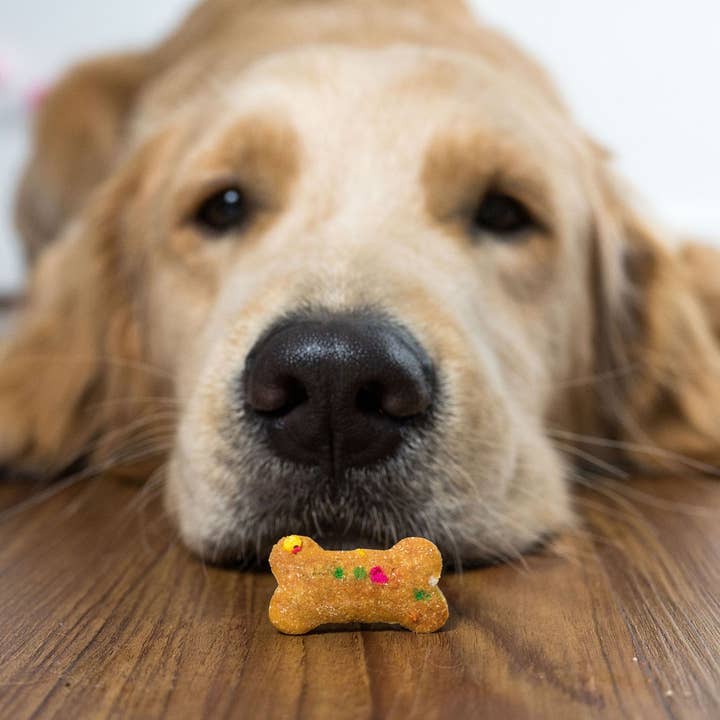 Dog Days Barkery - Wholesale Pet Treats - Dog - Apple Bacon Bulk Dog Treats1