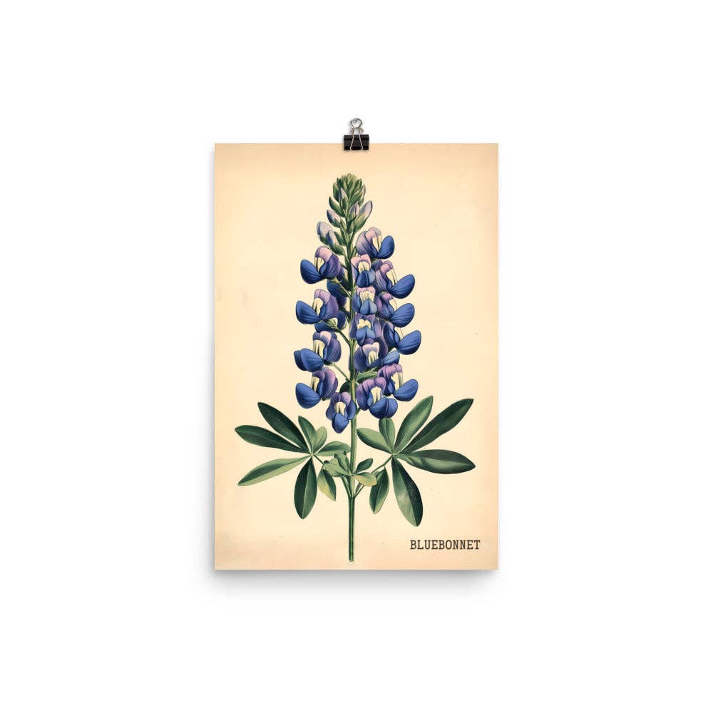 Tejas Country Club - Wholesale Art Print - Texas Bluebonnet French Flower Market Seed Pack Art Print4