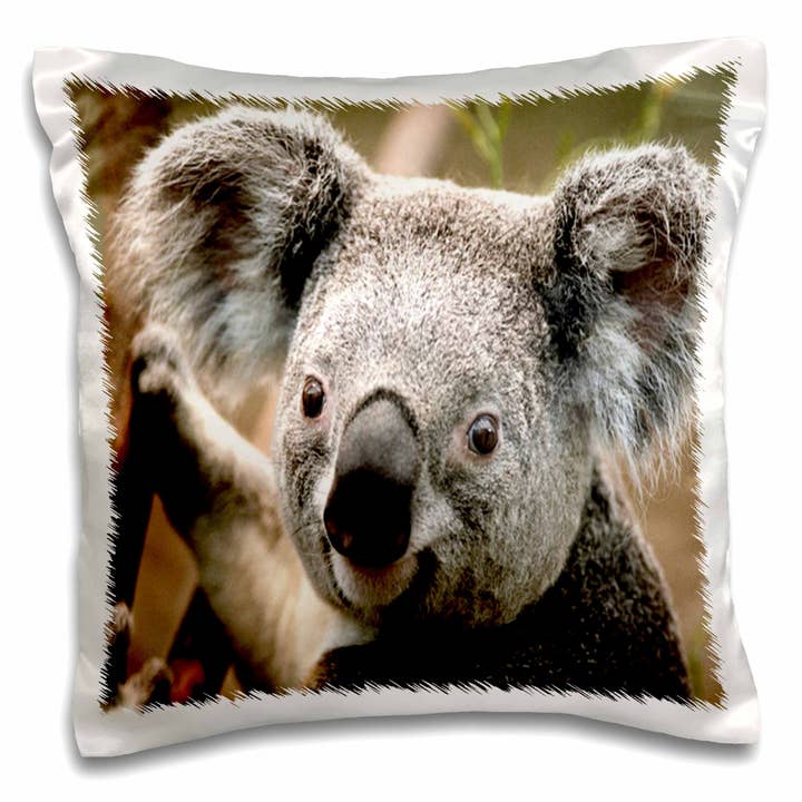 3dRose, Primer plano de oso koala, Funda de cojín para venta al por mayor de 3dRose