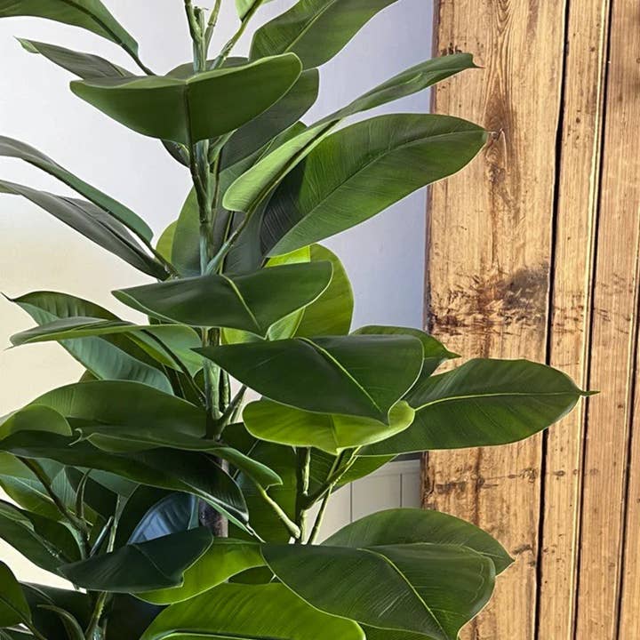 Maia Shop - Wholesale Artificial Plant - 6' Artificial Rubber Plant