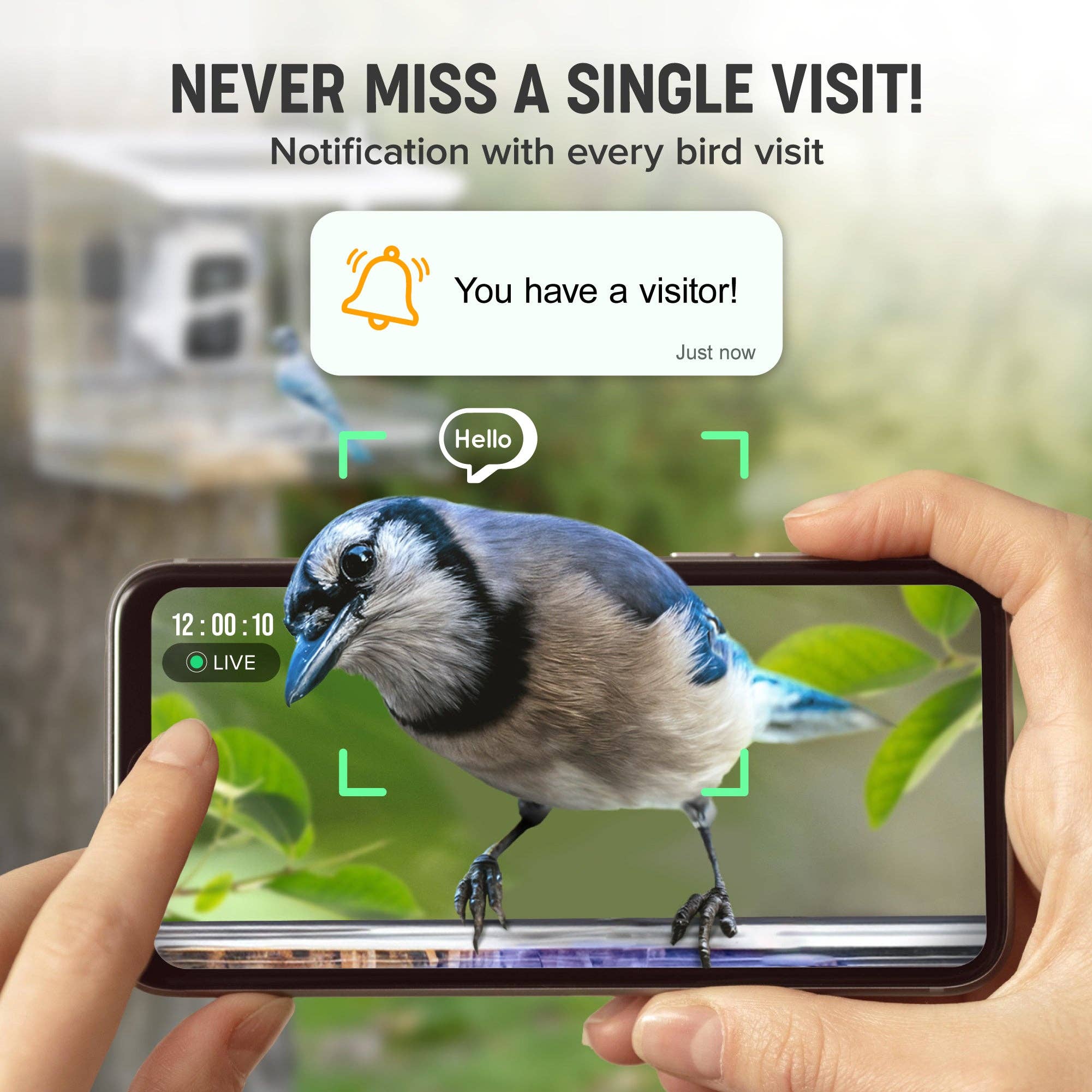 Nature Anywhere - Wholesale Bird Feeder - Nest-Flix Smart Bird Feeder with Camera1