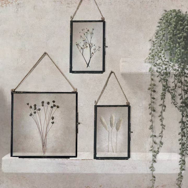 Coultura - Wholesale Dried/Pressed Flowers - Black Antique Pressed Flower Frame: Dried Baby's Breath - Small4