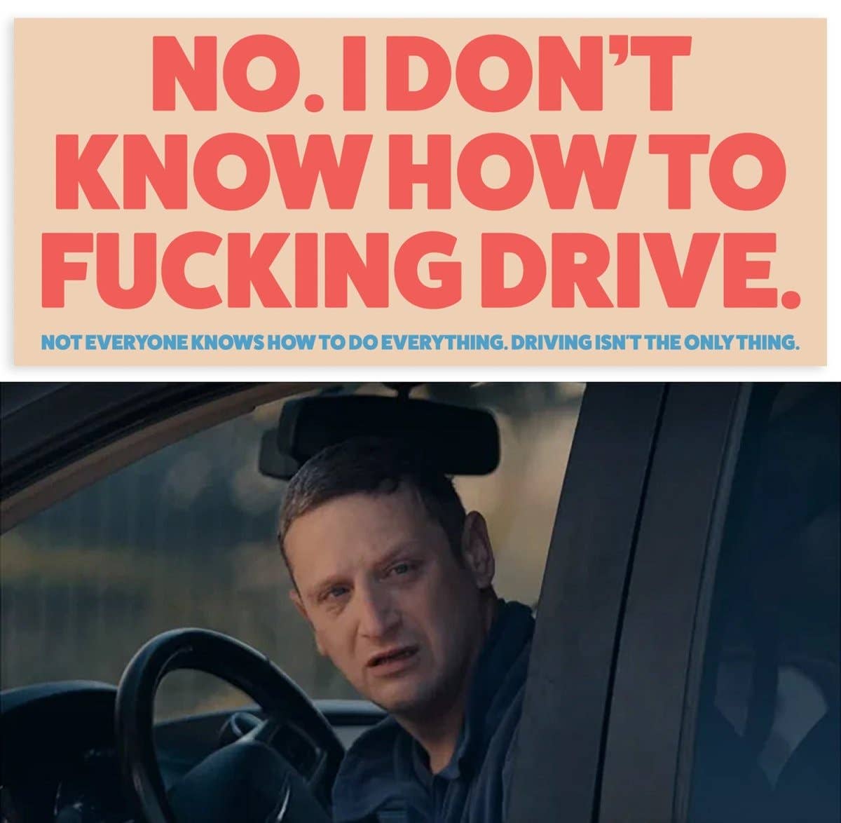 Pretty Bad Co – Großhandel Aufkleber – Nein. Ich weiß nicht, wie man verdammt noch mal Autoaufkleber fährt. ITYSL.1