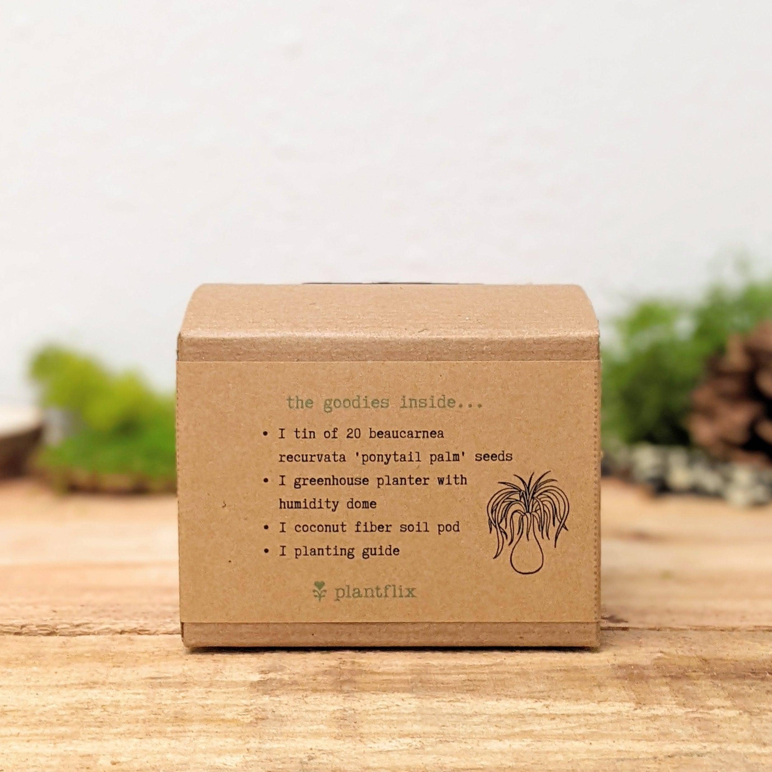 Plantflix - Wholesale Plant Seeds - Houseplant Seed Kit 10