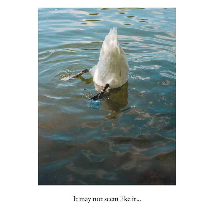 Raspberries - Wholesale Encouragement Card - Duck Butt | Encouragement Card1