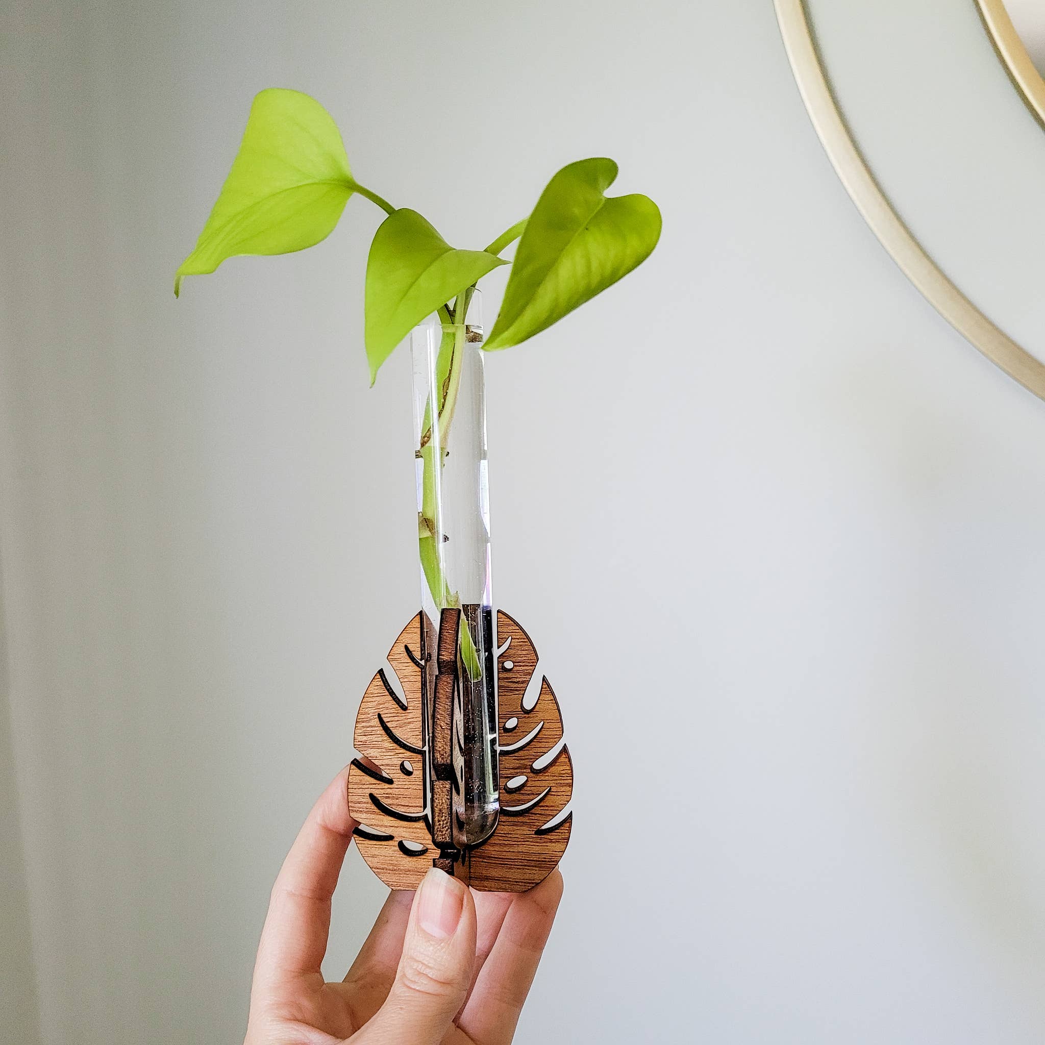 Leaf & Node - Wholesale Plant Pot - Test Tube Propagation Station - Monstera Test Tube Holder1