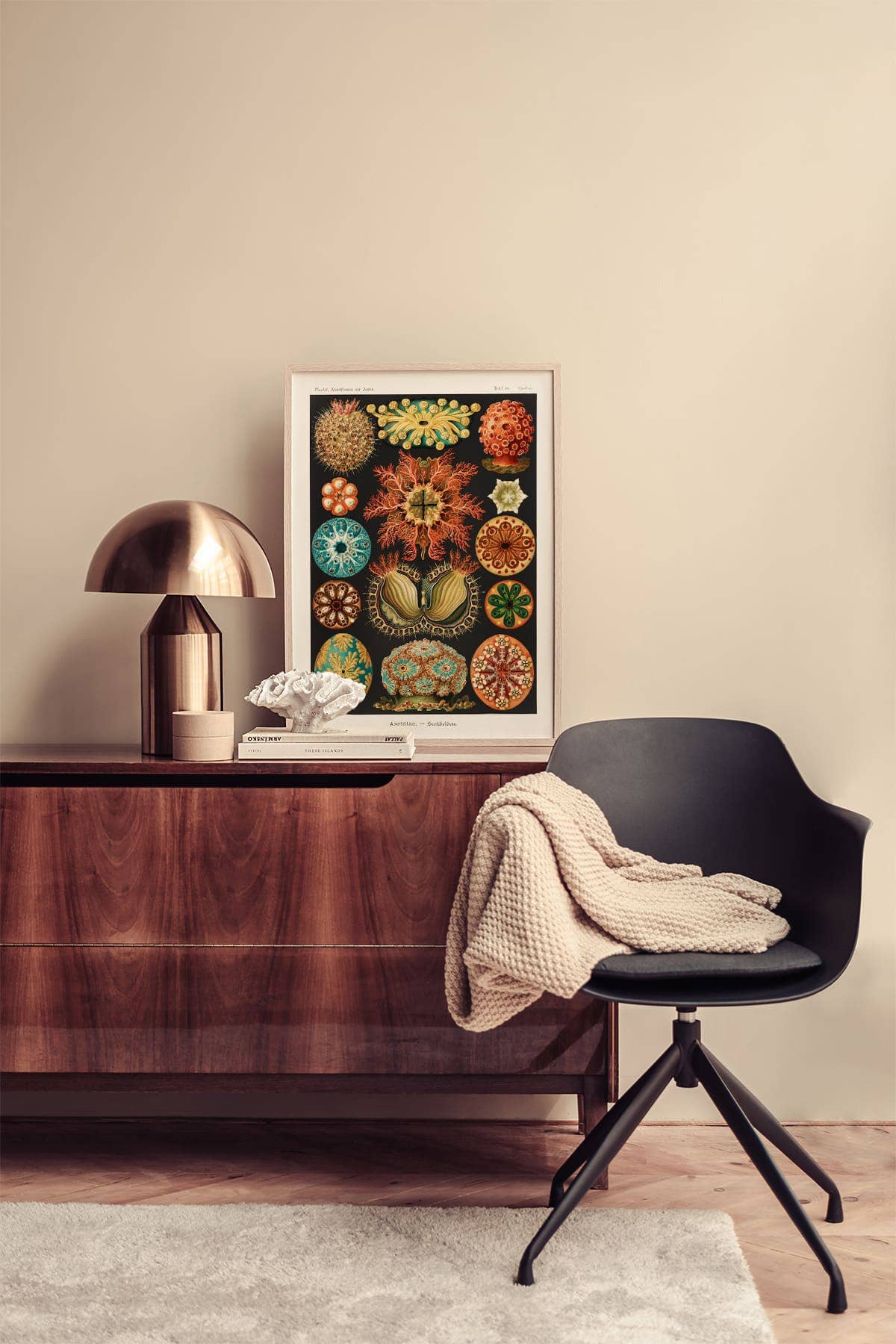 Esque – Großhandel Poster – Poster Ernst Haeckel – Ascidiae1