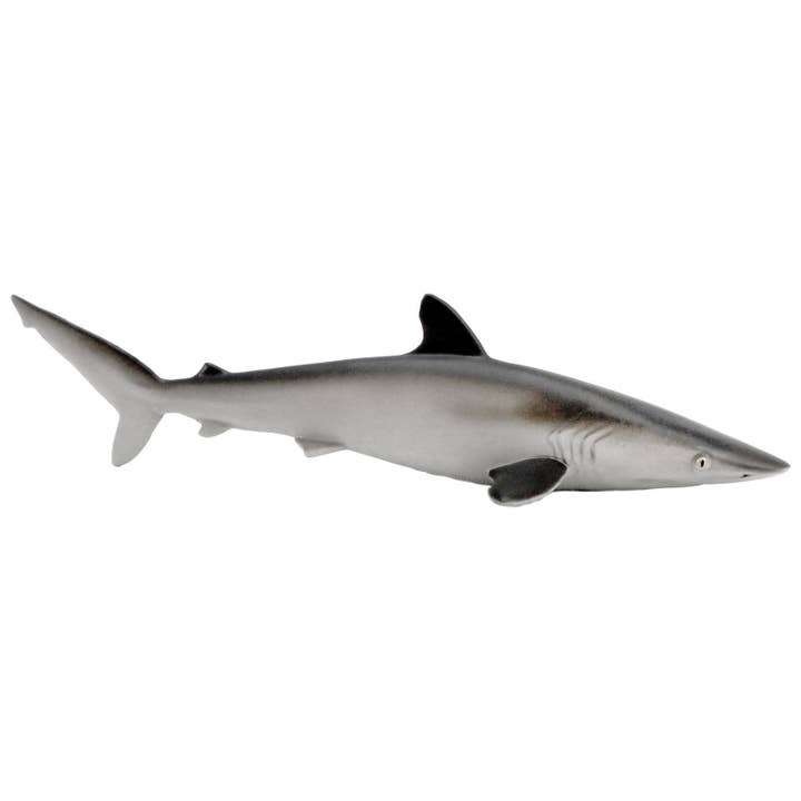 Silky Shark Toy Figure for wholesale by Safari Ltd.