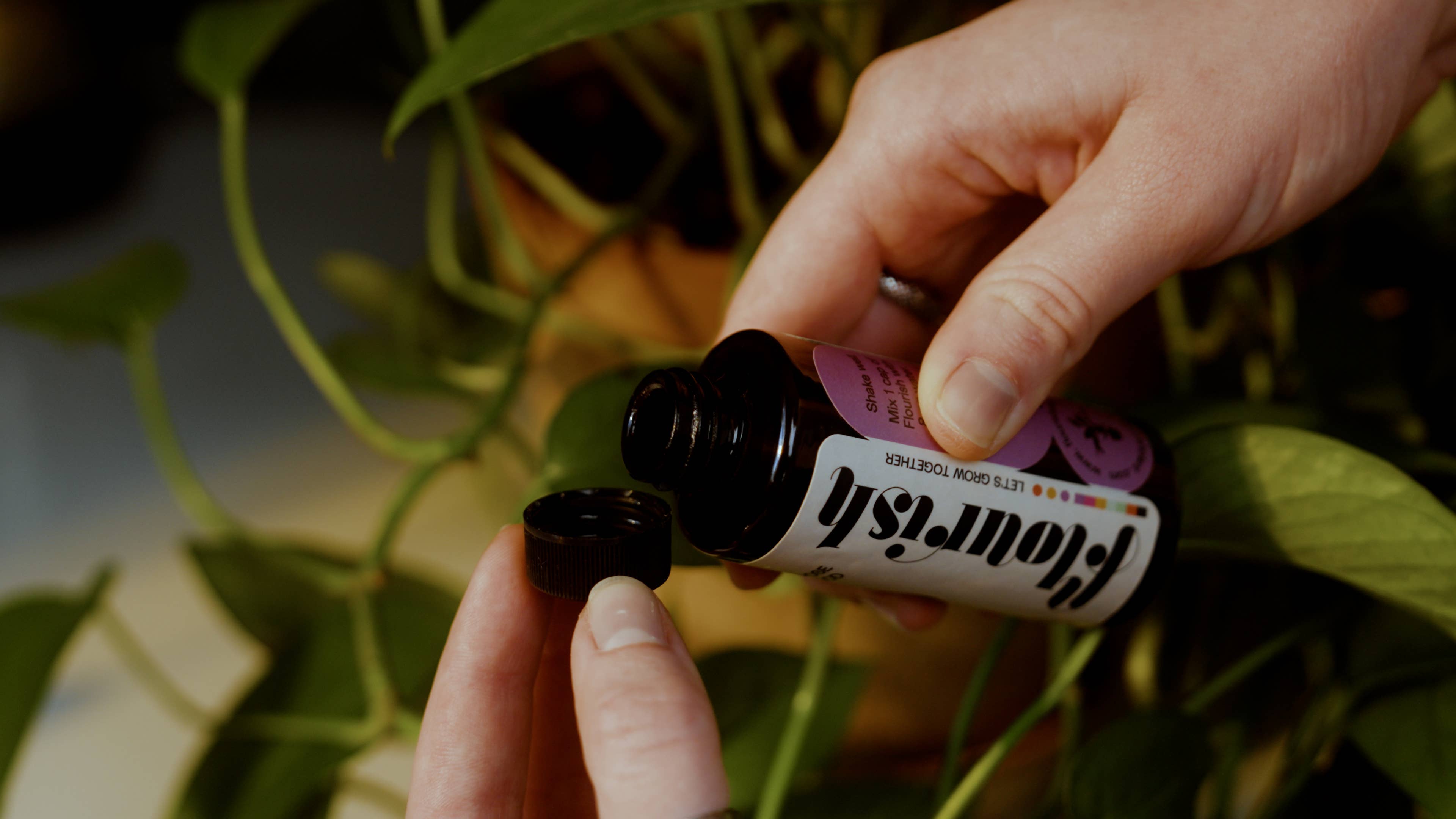 Flourish Plant - Wholesale Fertilizer - All-Purpose Organic Plant Food, Liquid Fertilizer 1.7oz3