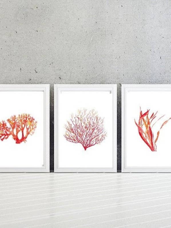Set van 3 koraal aquarel print voor wholesale door Goodfairyart