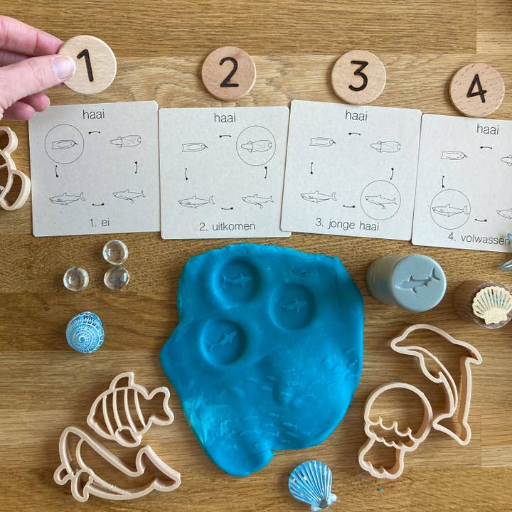 'Zo groeien dieren' 5 in 1 memory - educatief speelgoed voor wholesale door Wildebras