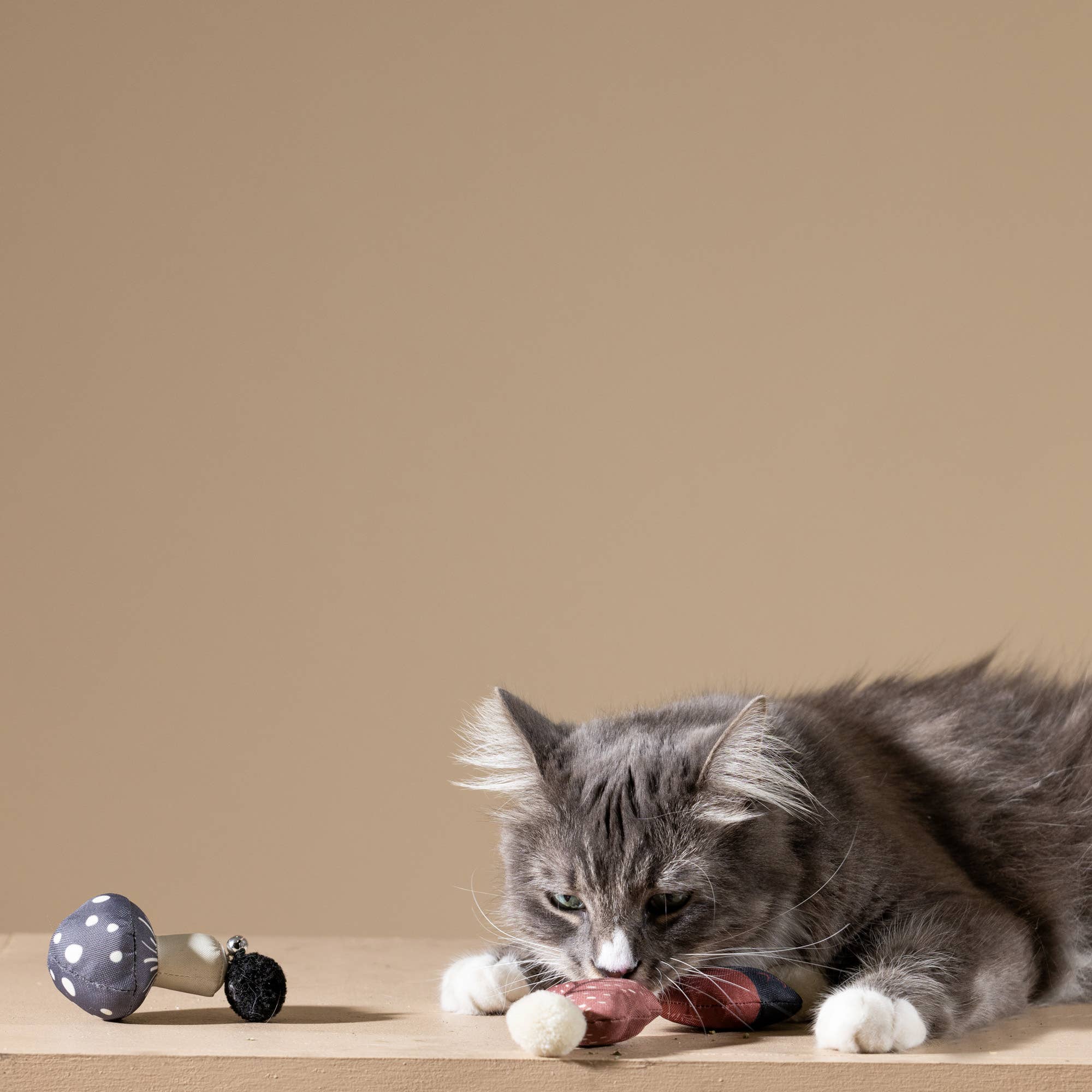 Only An Ocean Europe - Vendita all'ingrosso Giocattolo - Gatti - Set di mini giocattoli per gatti in tela Fringe - Scoperte della foresta3