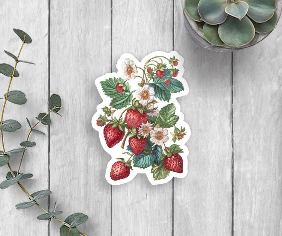 Expression Design Co - Wholesale Sticker - Strawberries Vinyl Sticker