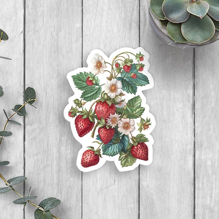 Strawberries Vinyl Sticker for wholesale by Expression Design Co