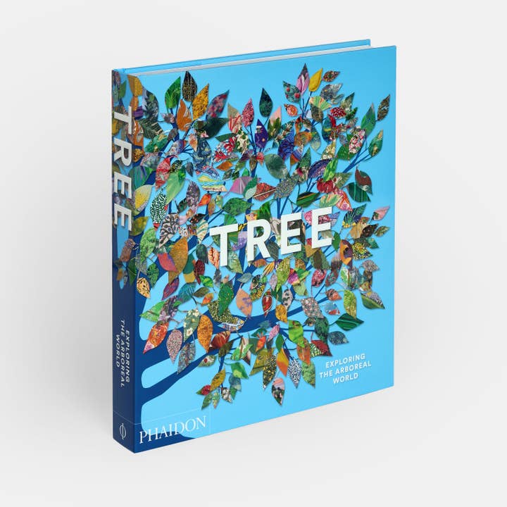 Tree: Exploring the Arboreal World for wholesale by Phaidon Press