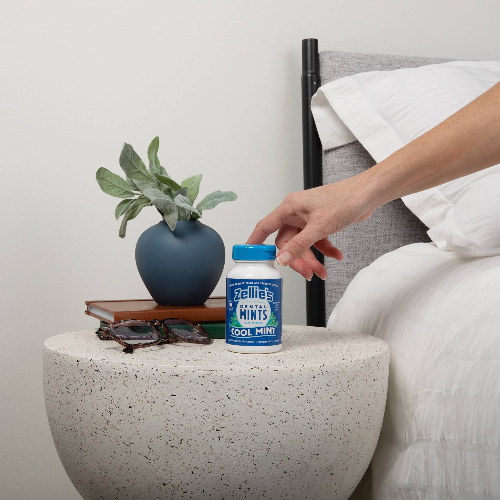 Wholesale Zellie's Xylitol Dental Mints - Cool Mint 250ct Jar for