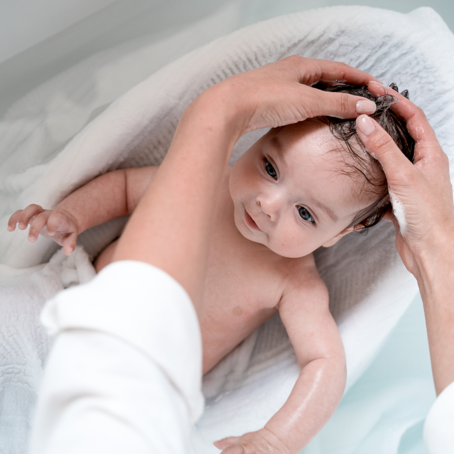 Pip + Phee - Wholesale 2-in-1 shampoo & body wash – Baby - Shampoo & Body Wash | Citrus3