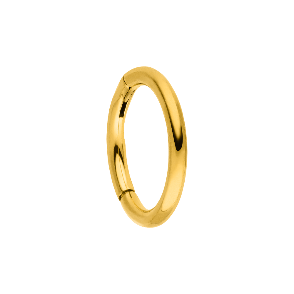 Schmuckgroßhandel – Brinco único por atacado – Simple Clicker | piercing de nariz e orelha7