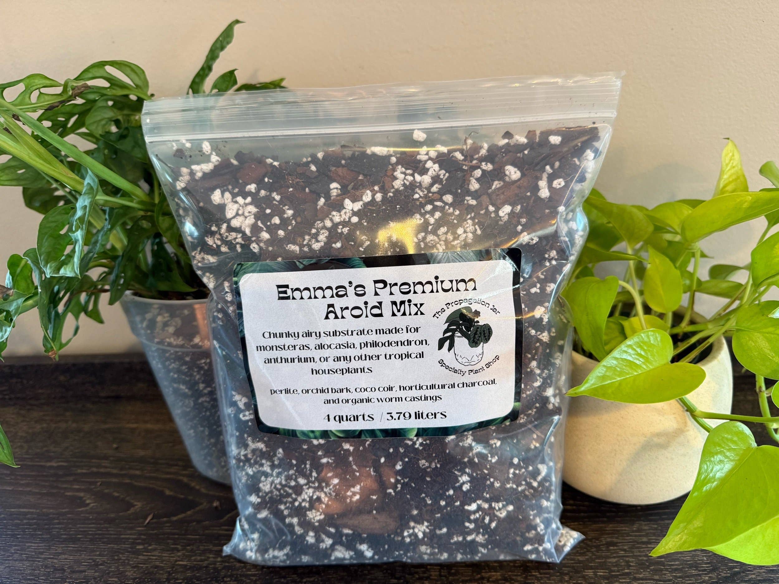The Propagation Jar - Venta al por mayor Semillas de plantas - Mezcla Premium de Plantas de Interior de Emma1