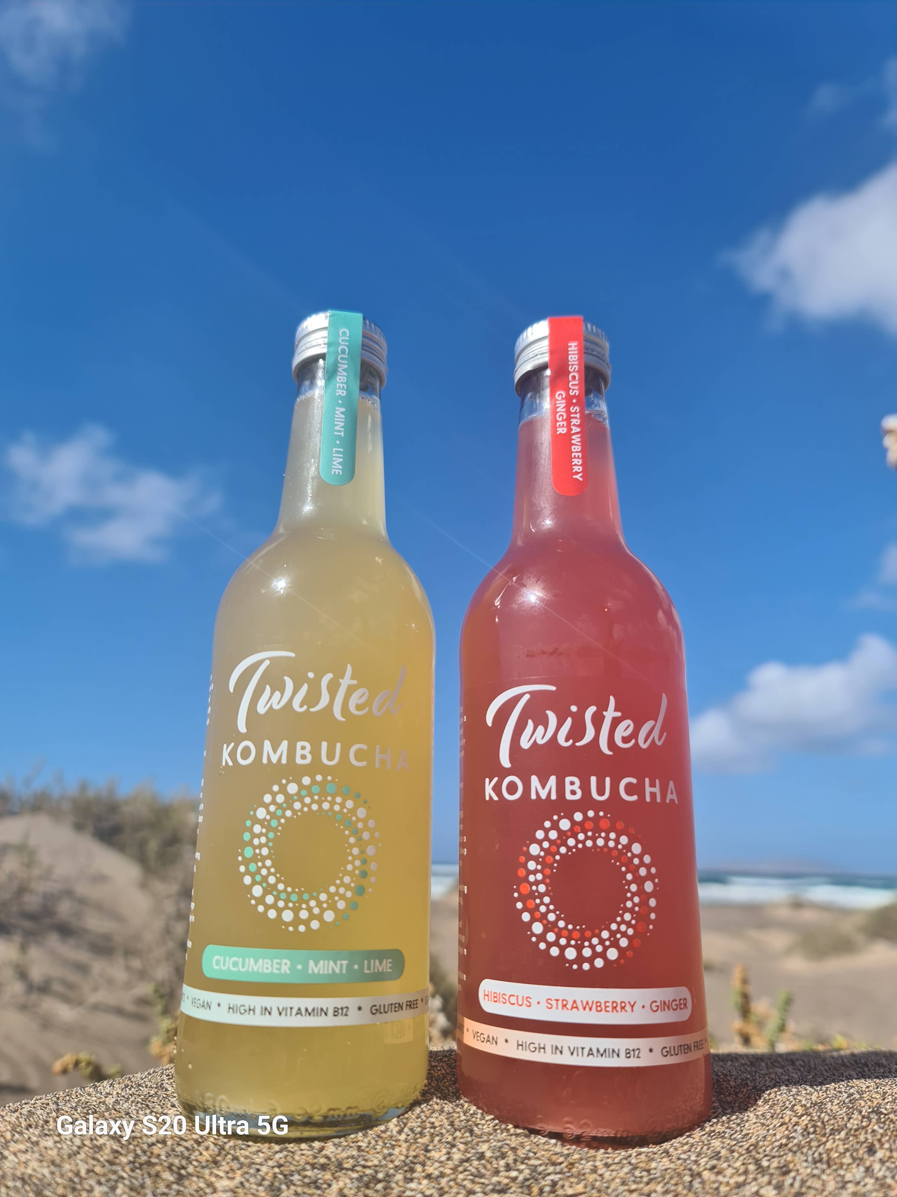 Twisted Kombucha - Vente Kombucha - Twisted Kombucha - Assortiment de saveurs11